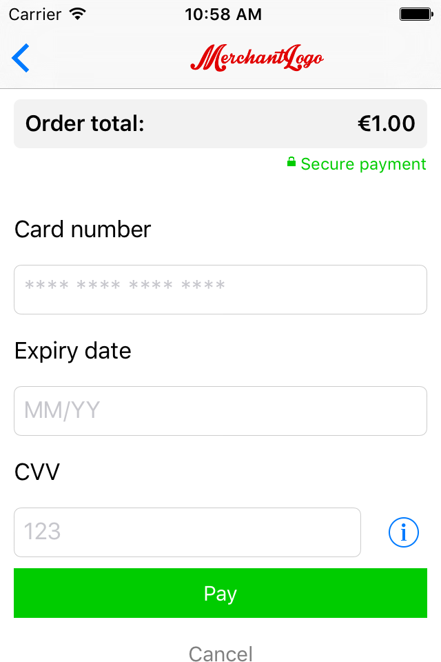 The image above shows the payment product input form screen after validation.